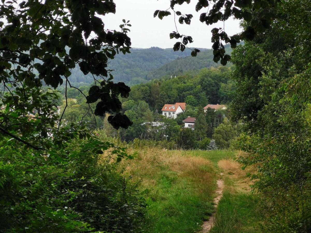 Apartmán Haus Froehlich Michelstadt Exteriér fotografie